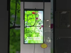 esposizione della finestra